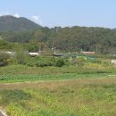 청산생선국수 - 옥천군 | 청산생선국수