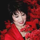 미스차이나 Daum카페