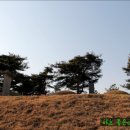 홍한 묘역 티스토리