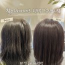 평택 염색 찰스리헤어테크 평택고덕신도시점 염색 후기