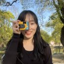 서림공원 | [남원여행:마지막 벚꽃열차는 바람과 함께]