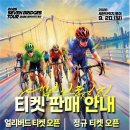 브릿지 세계일보