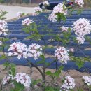 횡계고려의원 이미지