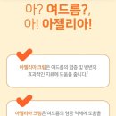 팜케어건강약국 이미지