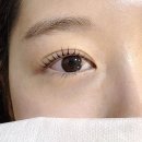 논현2-122 | 선정릉 속눈썹펌 디어뷰티 후기 - 강남속눈썹펌 자연스럽게 잘하는 곳