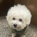 헤어바이호시