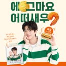 샐러디 영통점 | 박보검 샐러디 타코 쉬림프 랩 샐러디 구입시 리츠 멕시칸 타코 맛 증정 | 에그마요어떠새우 행사