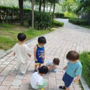 숲속키즈어린이집 이미지