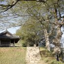 강변도로 이미지