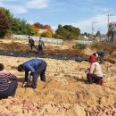 지동마을 이미지