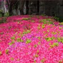 번암공원 이미지