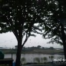 관문세차장 이미지