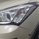 명품덴트칼라 이미지