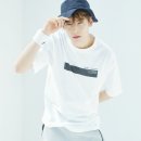 펄스트