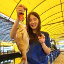 미콩커피안면도점 | 태안여행 1박2일 - 태안안면도여행 태안좌대낚시 으라차차좌대 서해 여름휴가 (좌대낚시,숙소정보,카페...