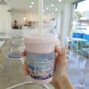 오키독키 | 광주 애견카페 화순 오키독키 다녀왔어요!