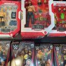 캐리언 크로스/새미 제인/존 시나·브록 레스너/파이널 테스타먼트 外 이미지