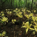 반도하숙 이미지