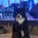 들었다놨다 이미지