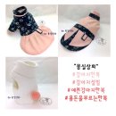 몽실상회 이미지