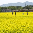 장흥 4리 이미지