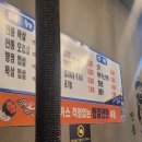탄통제주돼지 이미지