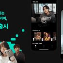 스푼중국어 지디넷코리아