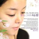 벨르부티크