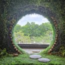 비밀의문 | 전주 한옥마을 카페 마시랑게 후기 ❘ 비밀의 문 포토존이 진짜 예뻤던 곳