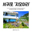 지오아라 이미지