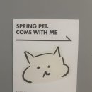 스프링 햄스터 | [사천 햄스터분양&amp;용품샵] 뒤늦게 알게된 경남사천 햄스터분양샵 스프링펫 방문후기 (feat. 간식먹는 곰찌)