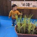 10월 그린지기 [가을 농장 대소동1 : 벼 수확] 이미지