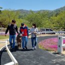 공헌농장 이미지