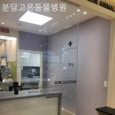 분당고은 동물병원 이미지