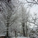 탑골농원 이미지