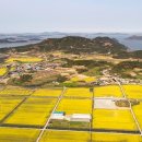 신안축산 이미지