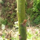 오월농장 이미지