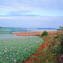 신흥동017 이미지