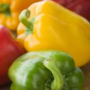 흥산목장 이미지