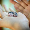 은혜네집 이미지