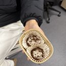 지곡예
