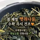 [🌱 건강 집반찬 추천] 52년 경력 노하우 💛 청정지역 고흥 🌊 해풍맞고 자란 햇건취나물 후기❕(✅ 건강집밥)
