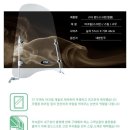 오도바이상사 | 바이크 월동준비 내돈내산 윈드쉴드 전기오토바이 스쿠터