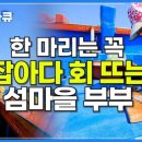 행복을낚는어부 이미지