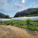 성민농장 이미지