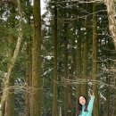 영화마을 버스정류장 이미지