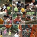 샤론어린이집 이미지