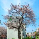 락시루 | 익산 맛집 | 생선구이 맛집 락시루 후기