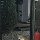 또바기 펜션 이미지