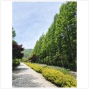 인성 정신건강의학과의원 이미지